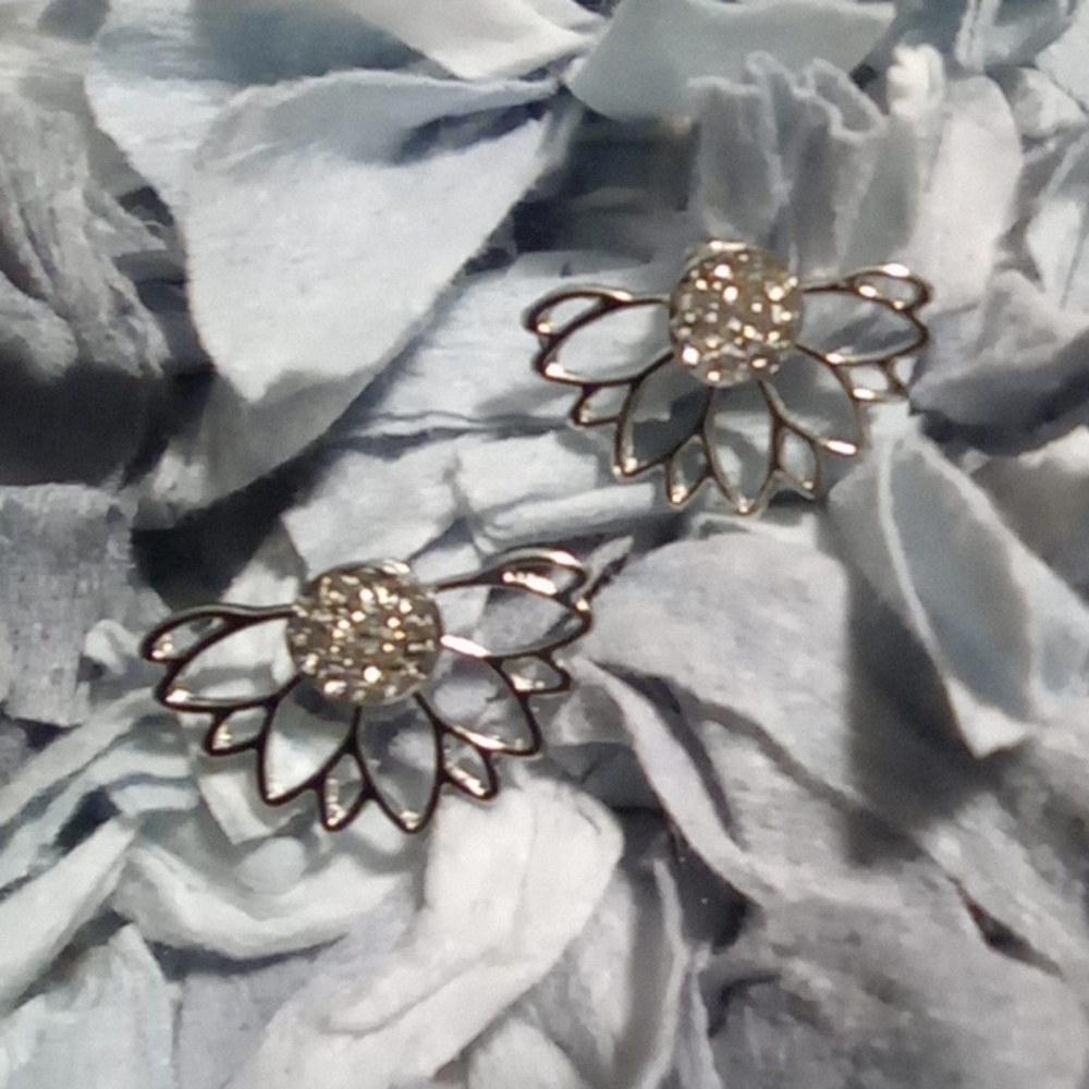 Women's earrings